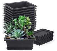 MUKCHAP 12 vasi rettangolari per bonsai, 16,5 x 12 x 6 cm, con vassoio, per bonsai, per giardino, balcone