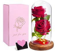 MULEVIP Rosa Eterna Rosa La Bella e la Bestia,Elegante Cupola di Vetro con Base Pino Luci LED,Kit di Rose,Regali Decorazioni per Festa degli Insegnanti,Compleanno,Anniversario,Matrimonio,Donne,Mamma