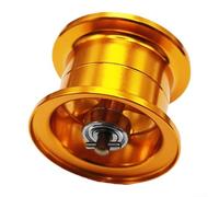 Mulinello a goccia d'acqua poco profonda, compatibile con DAIWA per ALPHA, 21 22 Alphas/AlphasSVTW21 Modified Fluid Cup Fishing Reel Upgrade (materiale misto oro)