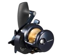 Mulinello da baitcasting Daiwa 25 SALTIGA 10H NUOVO dal Giappone