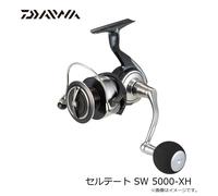 Mulinello da spinning Daiwa 24 CERTATE SW 5000-XH pesca NUOVO dal Giappone