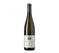 Muller Thurgau Abbazia di Novacella 2024