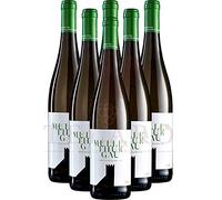 Muller Thurgau Colterenzio DOC 2019 Vino Aromatico Trentino Promo 6 Bottiglie Offerta