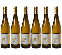 Muller Thurgau DOC Hofstatter, 0.75 L 6 Confezioni da 750 ml