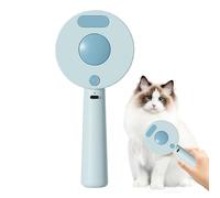 Multi Functional Steam Brush for Dogs and Cats, Pet Grooming Steamer Brush Comb for Removing Tangled and Loose Hair, USB Rechargeable Cat and Dog Steam, 19x8.5x3cm