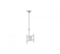 Multibrackets 2494 Supporto per display espositivi 139,7 cm [55] Bianco (Multibr
