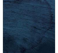 Multicast Dynamics - Aquatic System