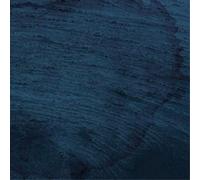 Multicast Dynamics Aquatic System (CD) Album