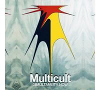 Multicult Simultaneity Now (Vinyl LP) 12" Album