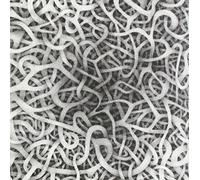 MULTIDELTA - L'ARBORESCENCE DES..