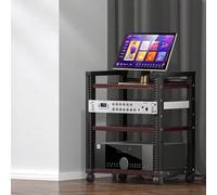 Multifunctal HiFi o/Video Stand con ruote, regolabile Ma Sto Shelf, Cact Home Theater CD/DVD nizer, facile da spostare Sto Fur