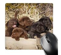 Multifunzionale Tappetino per Il Mouse Five Labrador Retriever Puppy Dogs 25X30Cm, Tampone per Mouse Antiscivolo Gaming Mousepad per Ufficio Laptop Computer