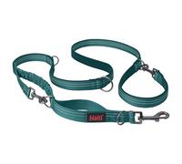 Multiguinzaglio per cani Halti Anatomia | Taglia L, Verde Acqua | Guinzaglio a doppia estremità con molla ammortizzante, Leggero e Catarifrangente, Ideale per cuccioli