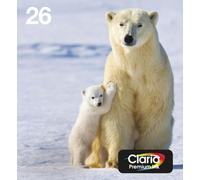 Multipack originale EPSON Polar Bear Ink T2616: cartucce nero, ciano, magenta, giallo [confezionato Disimballato senza essere arrabbiato da Amazon ]. - Nouvo