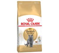 Multipack risparmio! 2 x 10 kg Royal Canin Breed Crocchette per gatto - British Shorthair Adult