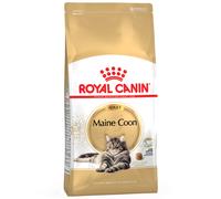 Multipack risparmio! 2 x 10 kg Royal Canin Breed Crocchette per gatto - Maine Coon Adult