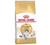 Multipack risparmio! 2 x 10 kg Royal Canin Breed Crocchette per gatto - Norvegese delle Foreste Adult