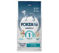 Multipack risparmio! 2 x 12 kg Forza10 Diet al Pesce Crocchette cane - Medium