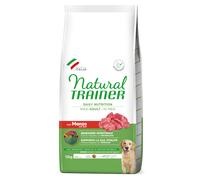 Multipack risparmio! 2 x 12 kg Natural Trainer Medium & Maxi - Maxi Adult Manzo
