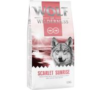 Multipack risparmio! 2 x 12 kg Wolf of Wilderness Crocchette senza cereali per cane - Scarlet Sunrise - Salmone & Tonno