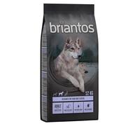 Multipack risparmio! 2 x Briantos - 2 x 12 kg Adult Anatra & Patate - senza cereali