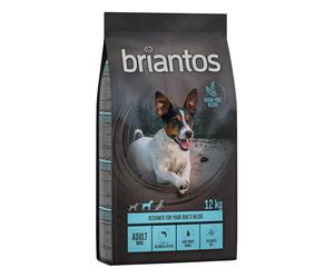 Multipack risparmio! 2 x Briantos 2 x 12 kg Adult Mini Salmone e Patate - senza cereali