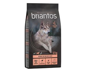 Multipack risparmio! 2 x Briantos - 2 x 12 kg Adult Salmone & Patate - senza cereali