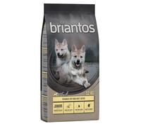 Multipack risparmio! 2 x Briantos - 2 x 12 kg Junior Pollo & Patate - senza cereali