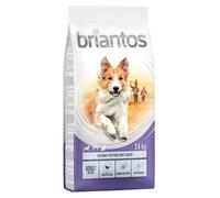 Multipack risparmio! 2 x Briantos - 2 x 14 kg Adult Active