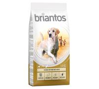 Multipack risparmio! 2 x Briantos - 2 x 14 kg Adult Maxi
