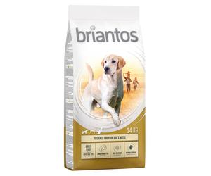 Multipack risparmio! 2 x Briantos - 2 x 14 kg Adult Maxi