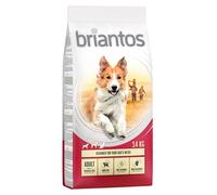 Multipack risparmio! 2 x Briantos - 2 x 14 kg Adult Pollo & Riso