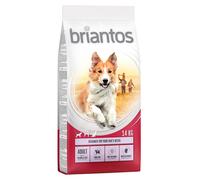 Multipack risparmio! 2 x Briantos - 2 x 14 kg Adult Salmone & Riso