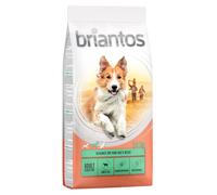 Multipack risparmio! 2 x Briantos - 2 x 14 kg Adult Sensitive Agnello & Riso - Single Protein