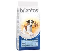 Multipack risparmio! 2 x Briantos - 2 x 14 kg Junior Young & Fit
