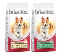 Multipack risparmio! 2 x Briantos - 2 x 14 kg Mix Adult: Agnello + Pollo