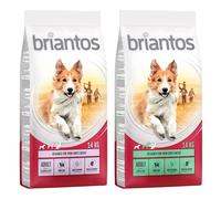 Multipack risparmio! 2 x Briantos - 2 x 14 kg Mix Adult: Salmone + Agnello