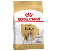 Multipack Risparmio! 2 x Royal Canin Breed Crocchette per cane - 2 x 12 kg Beagle Adult