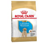 Multipack Risparmio! 2 x Royal Canin Breed Crocchette per cane - 2 x 12 kg Labrador Retriever Puppy