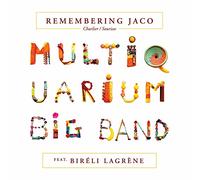 Multiquarium Big Band( Feat. Bireli Lagrene) - Remembering Jaco