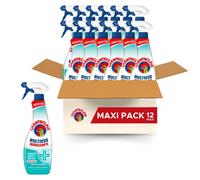 Multiuso Igienizzante Zero Aloni e Residui Spray Ideale per Piccole Superfici