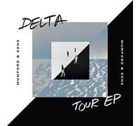 Mumford & Sons - Delta (LP)