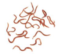 Mumusuki Esca da Pesca a Forma di Lombrico da 18 Pezzi, Esche in Plastica Morbida con Odore di Pesce, Eccellente Azione di Nuoto, Perfetta per la Pesca in Acqua Dolce e Salata