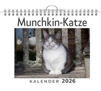 Munchkin-Katze: (Wandkalender 2026, Kalender DIN A4 quer, Monatskalender im Querformat mit Kalendarium, das perfekte Geschenk)