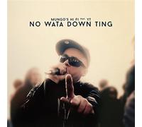 Mungo S Hi-Fi Feat Y - No Wata Down Ting
