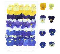 MUNTE 40 Pezzi Fiori Secchi, Squisito Fiori di Viola del Pensiero Pressati, Floreali Secche Luminoso e Colorato, Ideale per Lavori Fai da te, Decorazioni e Regali