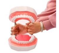 MUONGJUE Modello di Cure odontoiatriche, Modello di Denti dentali 6 Volte più Grandi con spazzolamento della Lingua Staccabile per Bambini e Modello didattico di igiene Orale del Dentista