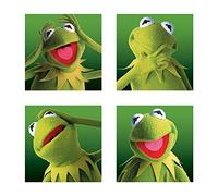 Muppets The Stampa Multicolore su Tela, Motivo: “Kermit Boxes”, 40 x 40 cm, Multicolore