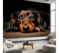 Murale da Parete Animale Simpatico Bassotto Carta da Parati Fotografica, Fotografia Naturalistica Murale da Parete in Tessuto Non Tessuto Poster Decorativo Design Moderno 350 x 256 cm per Soggiorno