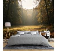 Murale Da Parete Con Paesaggio Boschivo Illuminato Dal Sole 200 × 140 Cm Carta Da Parati Panoramica 3D In Tessuto Non Tessuto Radura Nebbiosa Nella Foresta Autunnale Paesaggio Naturale Carta Da Par